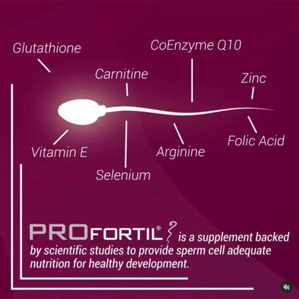 Male Fertility Supplement – Pack of 60 Capsules
